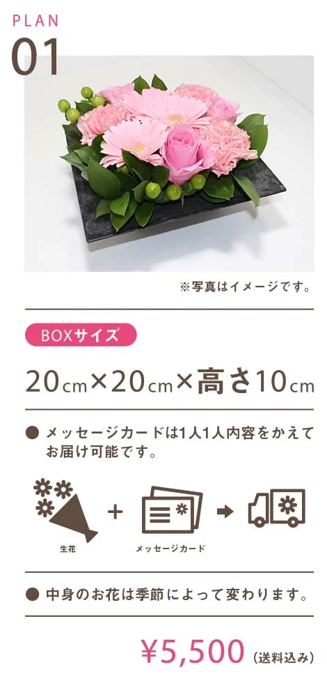PLAN 1