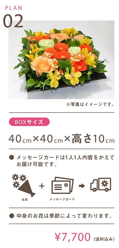 PLAN 2